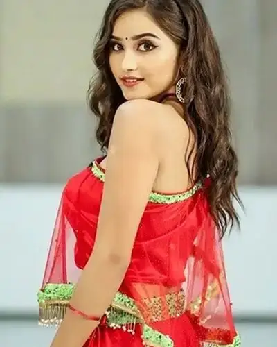 Call Girls Service Satlasana